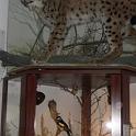 SAM_0352 (2)